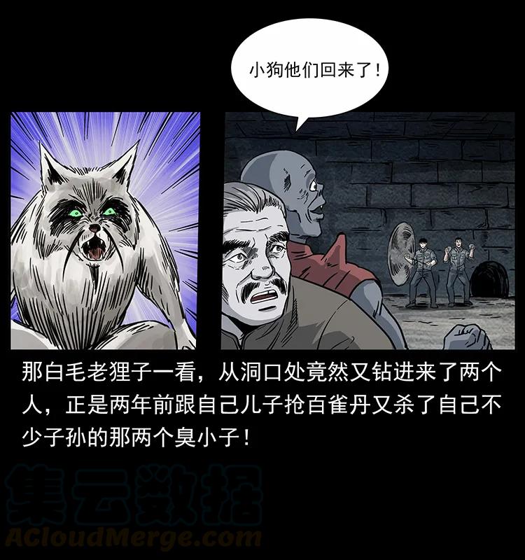 252 危机！危机76
