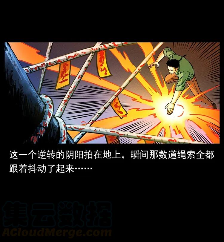 370 乌翅凤凰36