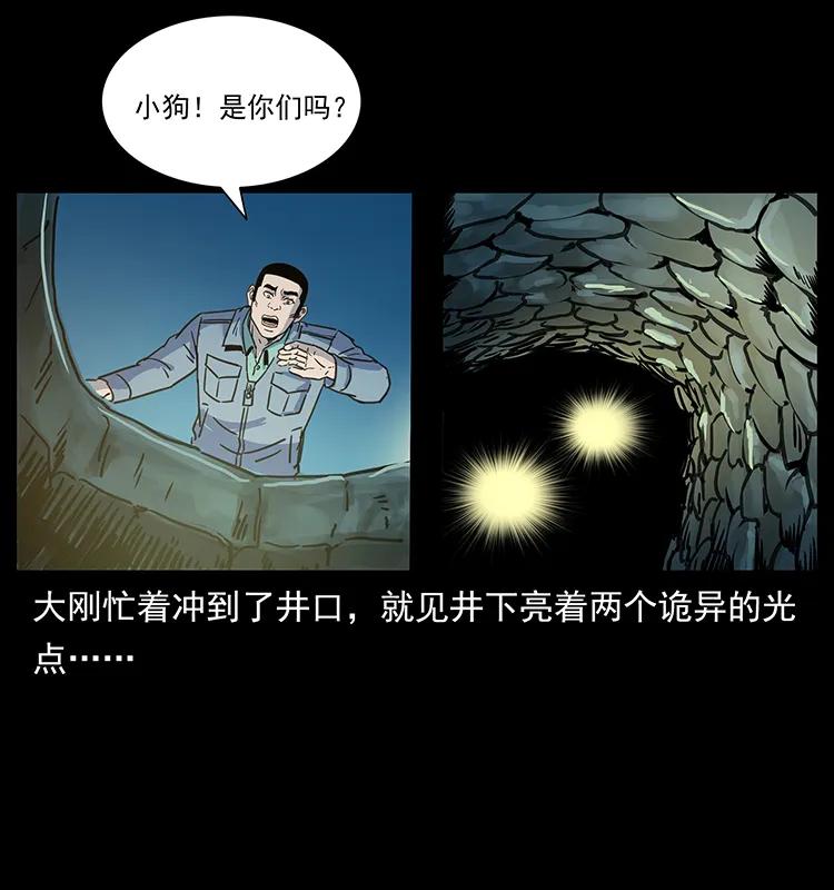262 藏地神族38