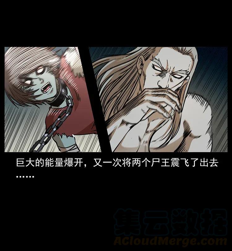 331 樊家尸王经28