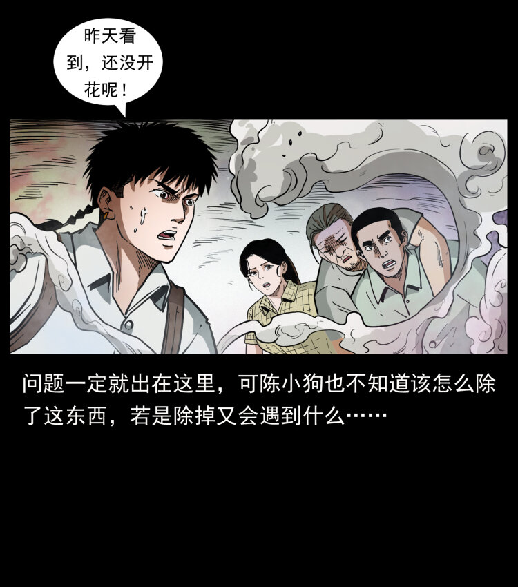 441 羽人之境61