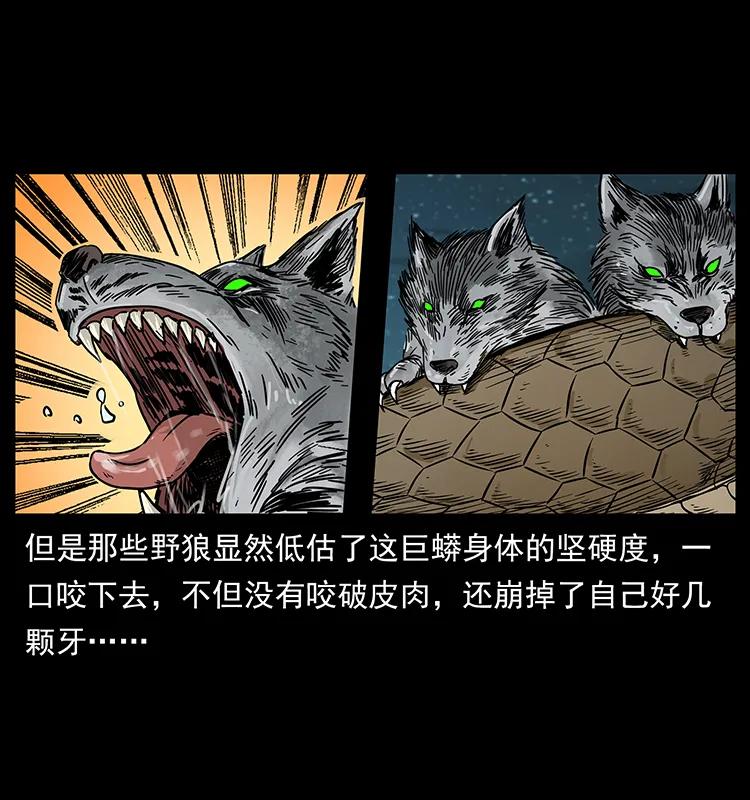 212 草原深处38