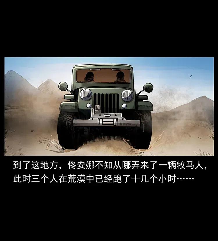 316 大漠归客2