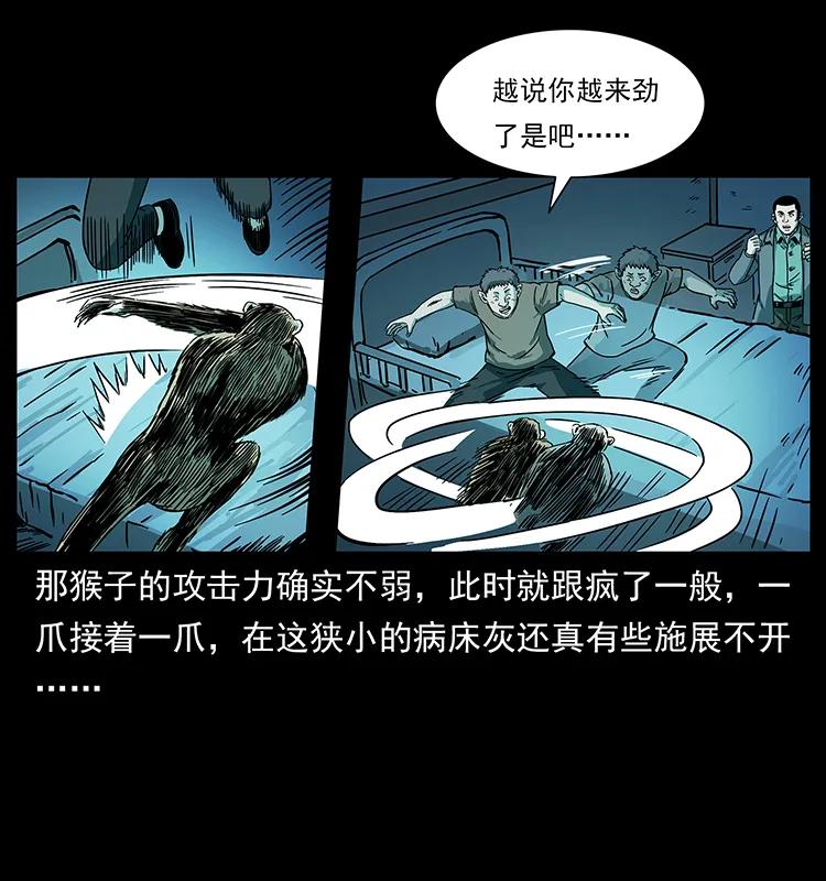 228 凶兽73