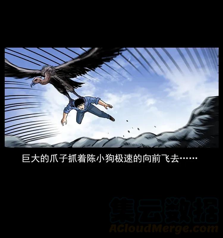 281 柱子归来！32