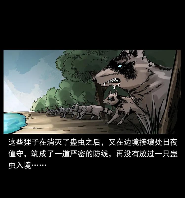 161 虫佛17