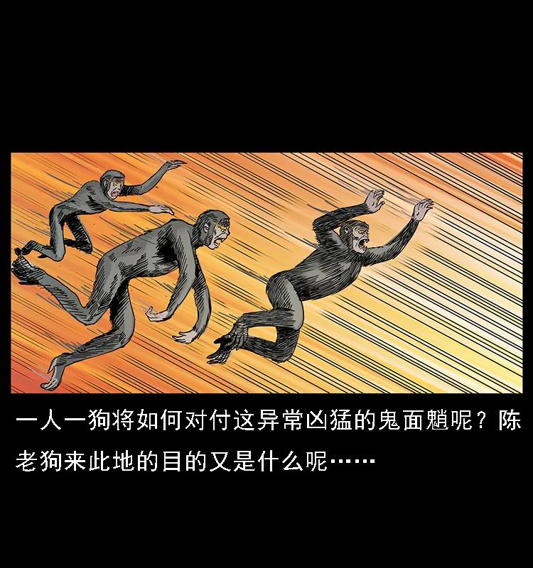 082 鬼桃树79