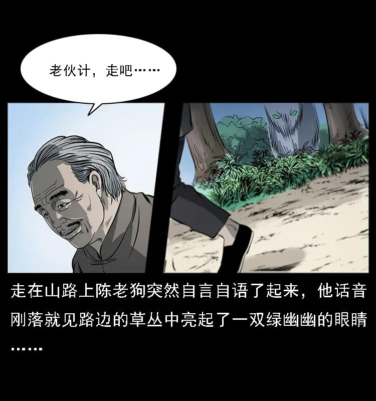 082 鬼桃树9