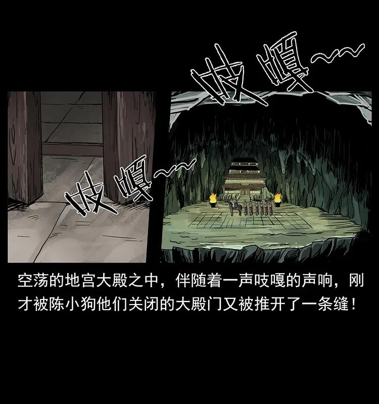 217 最可怕的危机65