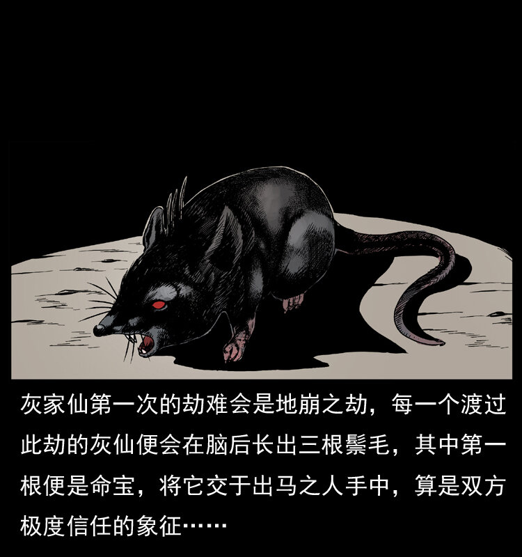 035 陈小狗出马11