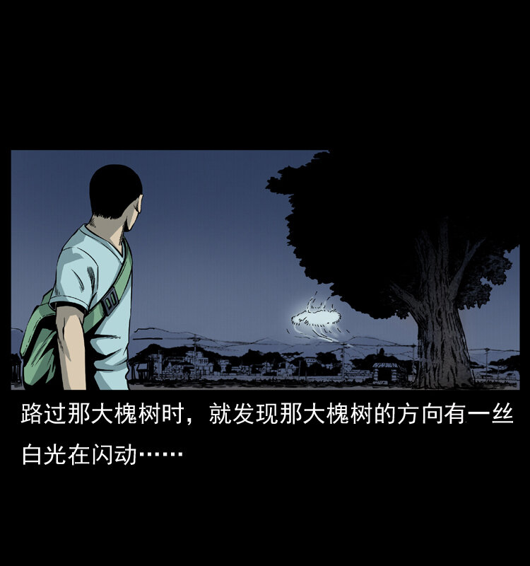 008 槐树下的小庙35