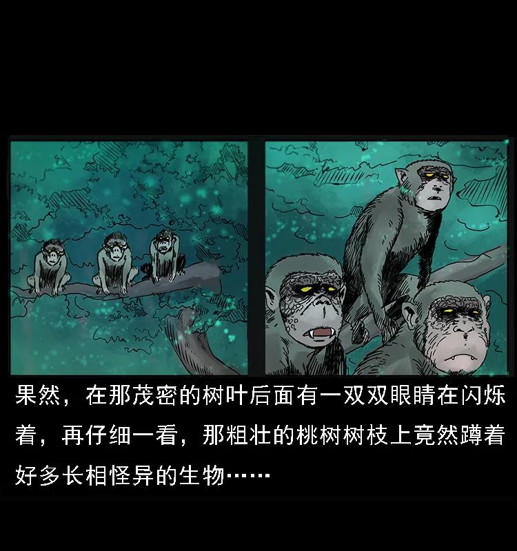 082 鬼桃树29