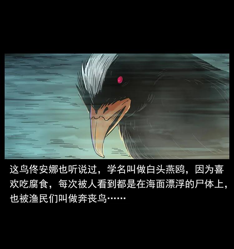 238 海上也有阴兵借道？27