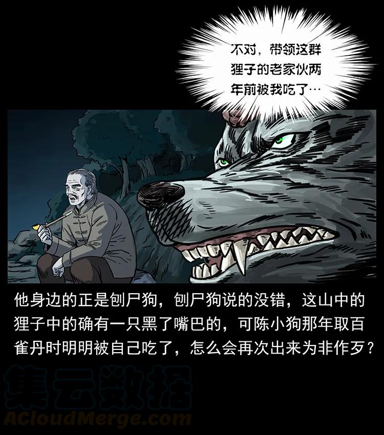 250 走失72