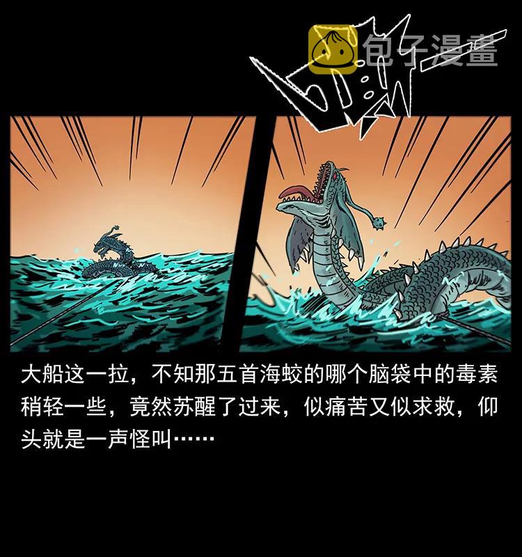 243 大战海阎王15