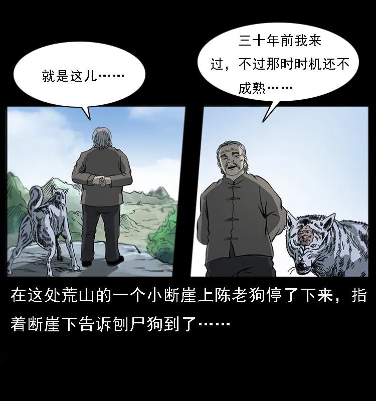 082 鬼桃树14