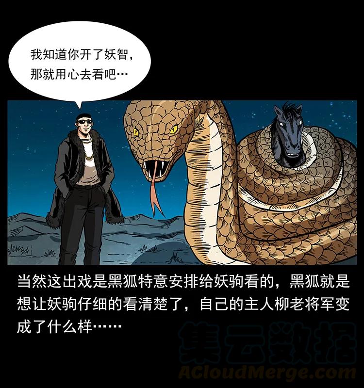 158 妖驹的选择60