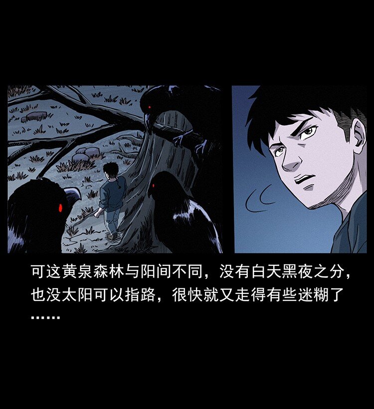 491 硬刚3