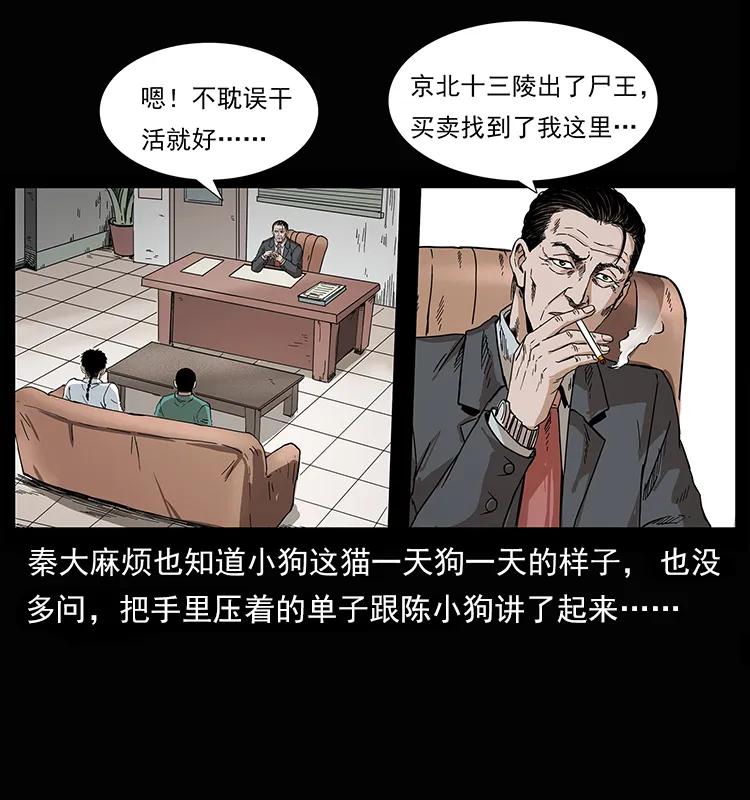 207 尸王！27