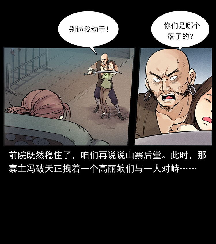 外传 洛生传3 剿匪52