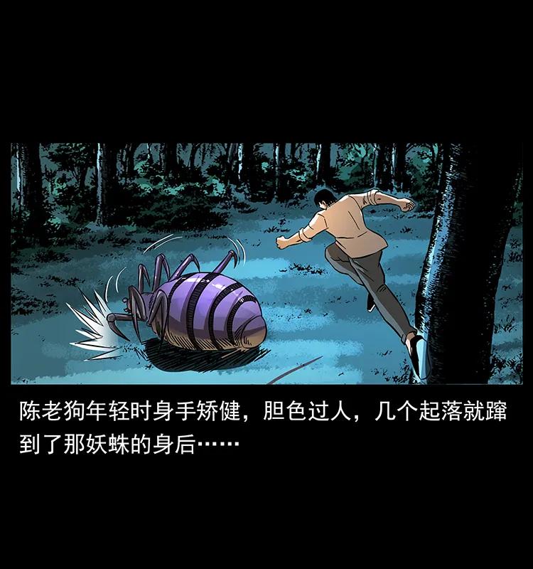 163 陈老狗下南疆15
