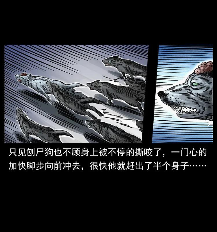 252 危机！危机11