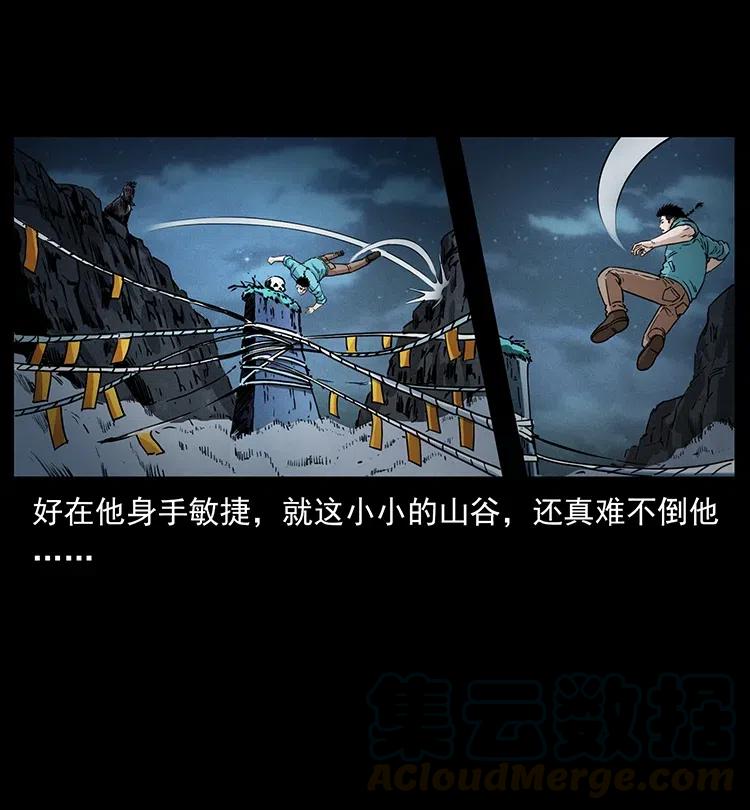 370 乌翅凤凰24