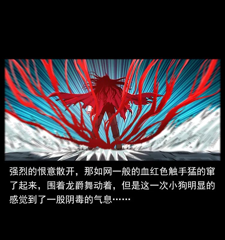 189 龙家的实力19