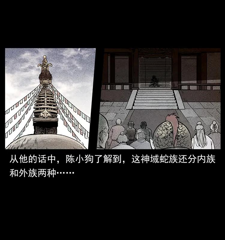 274 神族的计划9