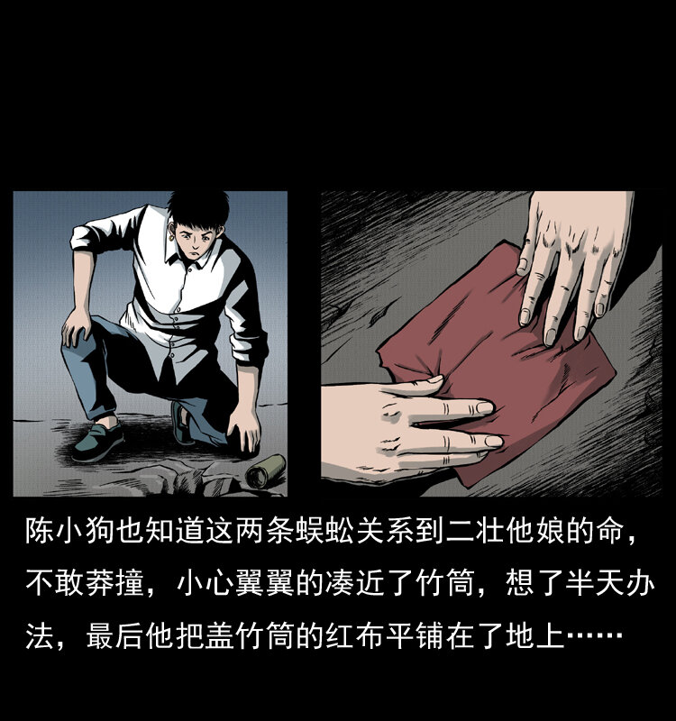 006 棺材菇47