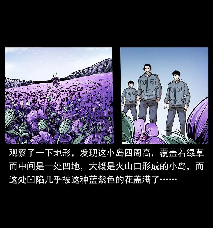 236 神秘的小岛38