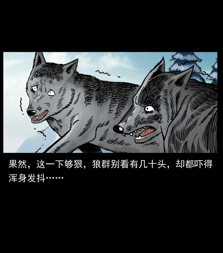 469 冻土的世界78