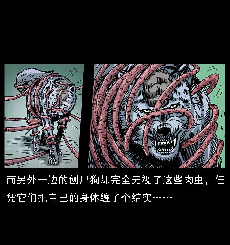 082 鬼桃树70