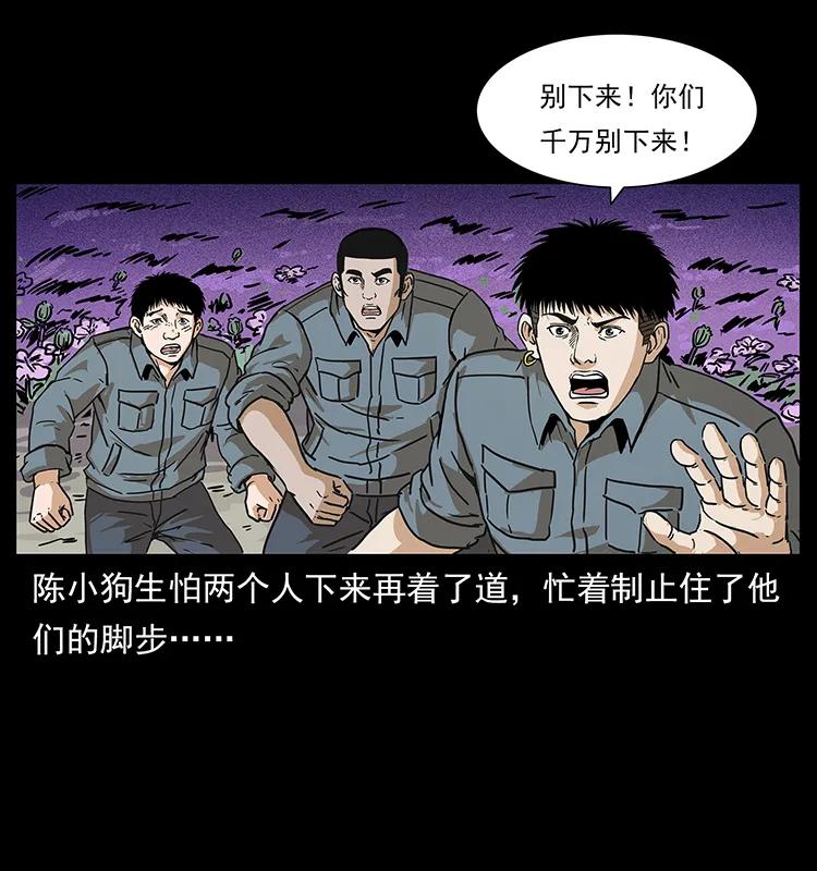 236 神秘的小岛75