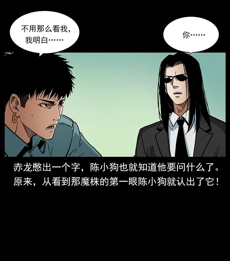 390 斩草除根56