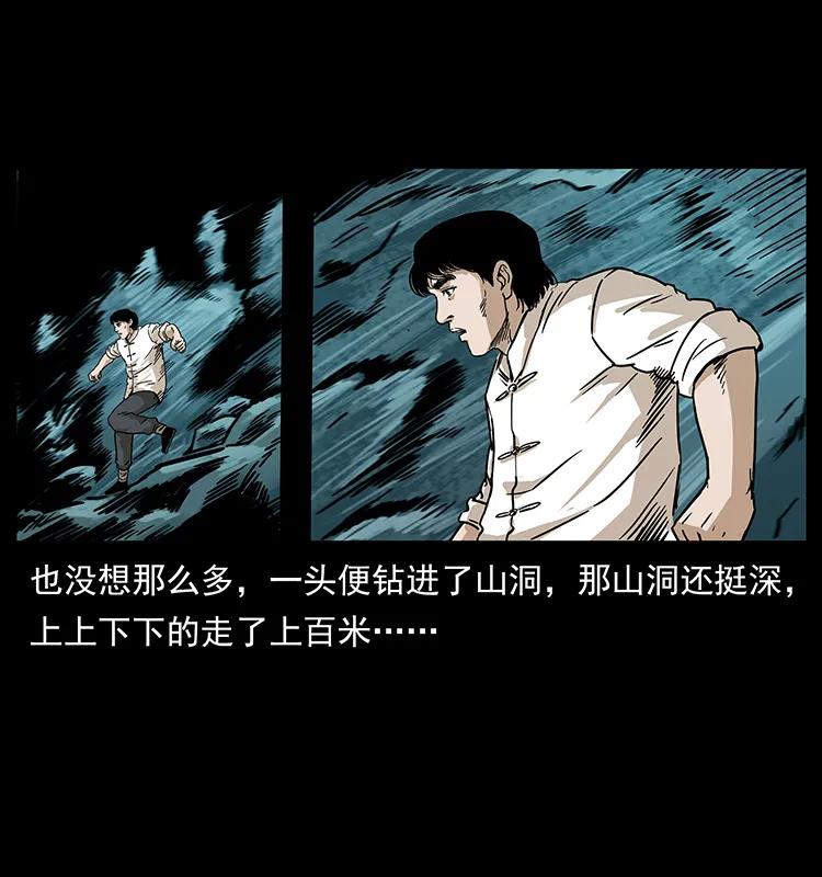 231 东海木龙19