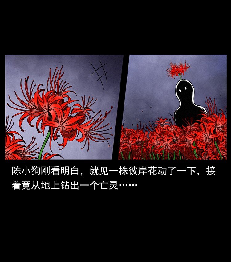 491 硬刚8
