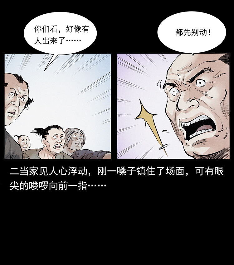 外传 洛生传2 土匪，土匪45