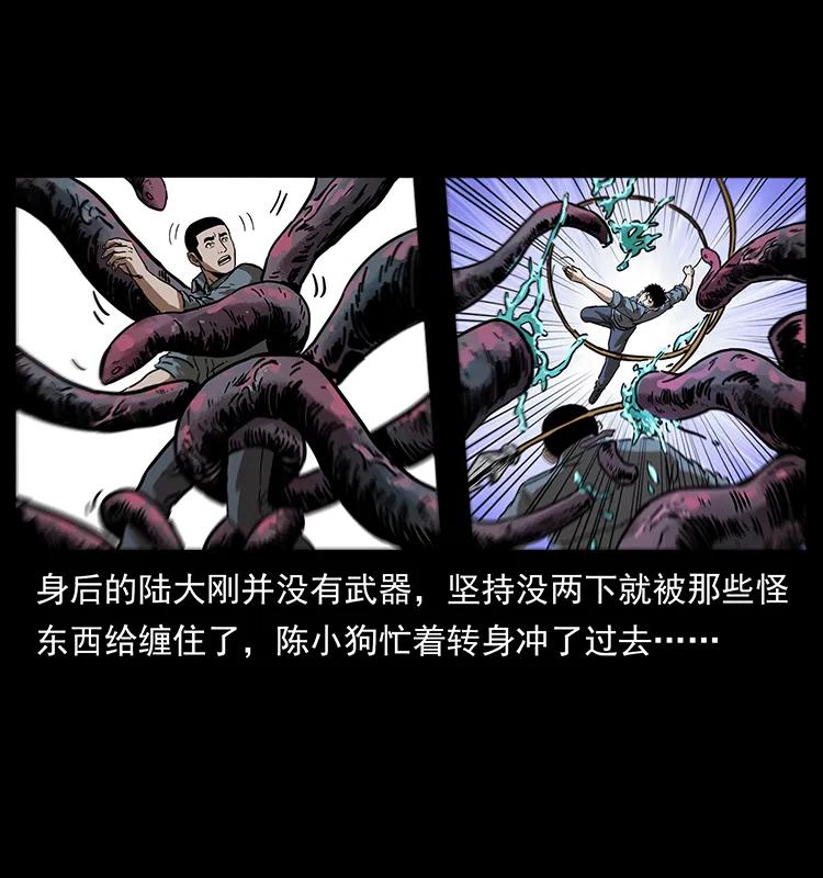 242 陈小狗失算了25
