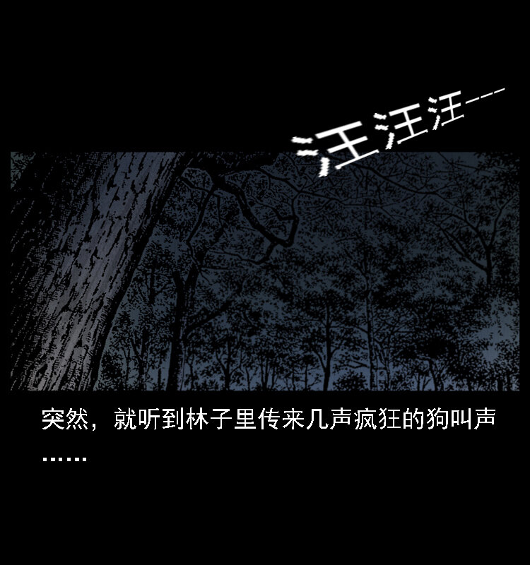 004 猫妖53