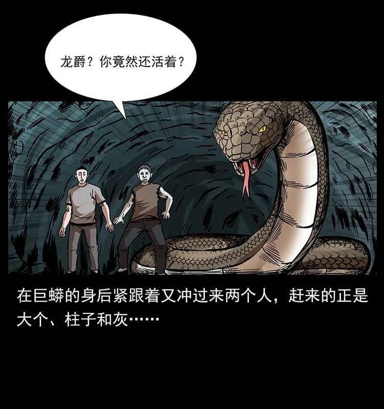 189 龙家的实力15