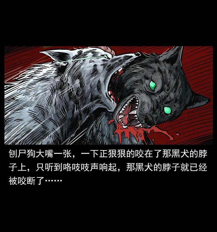 252 危机！危机15