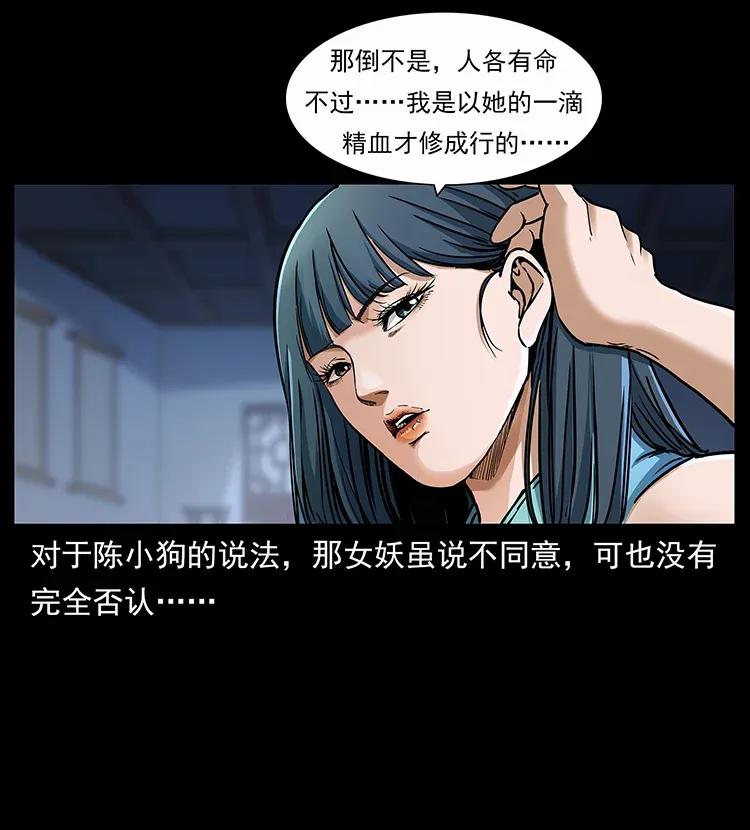 307 因果2