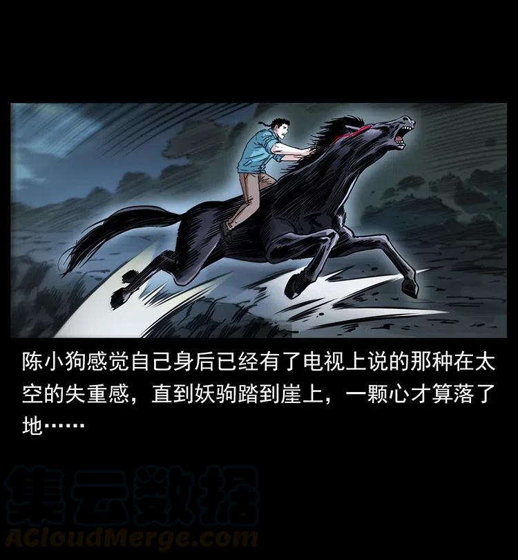 370 乌翅凤凰18