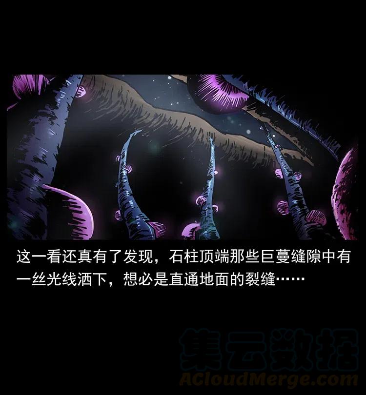 322 生死罗布泊36