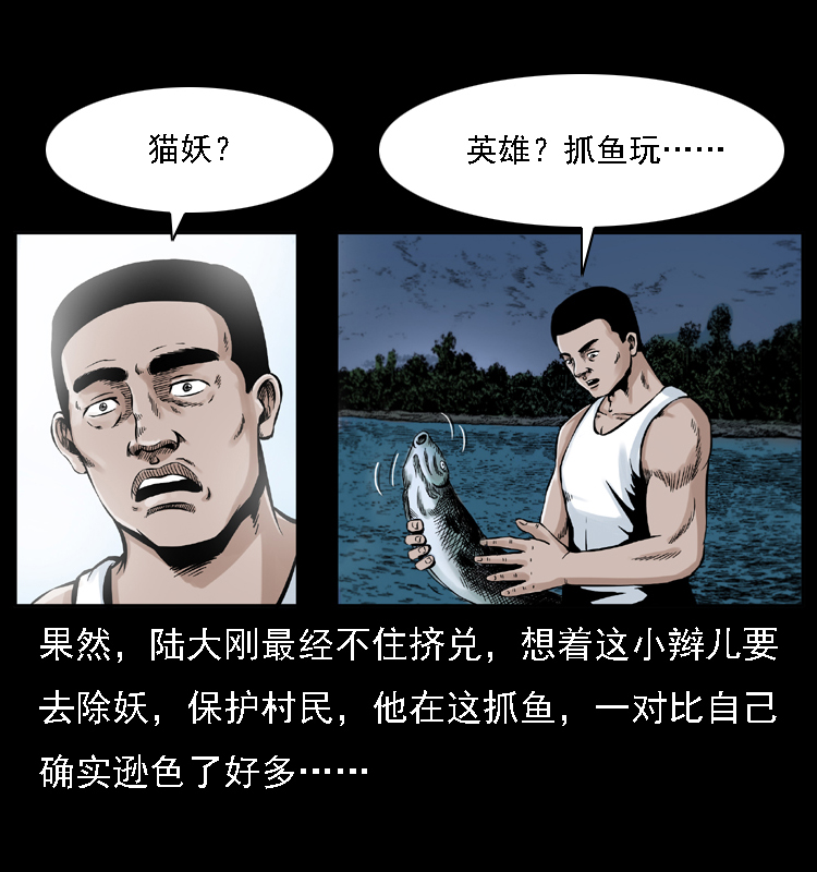 003 赵家的猫11