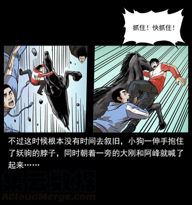 220 漠北白狼王52