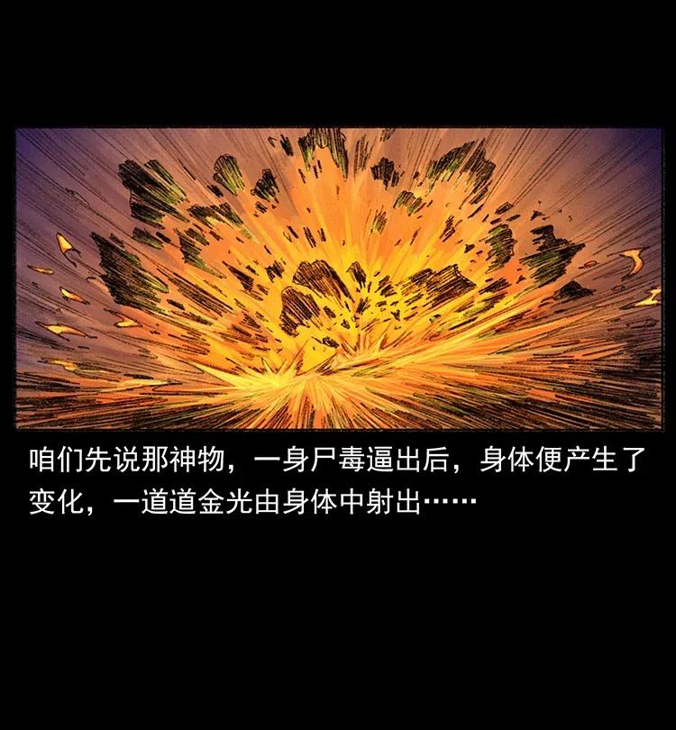 368 上古尸毒65