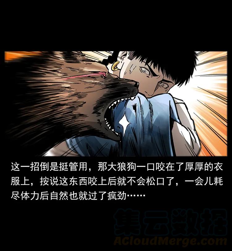258 身后的危机40