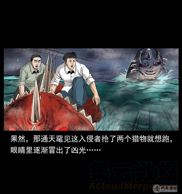 129 通天鼋80